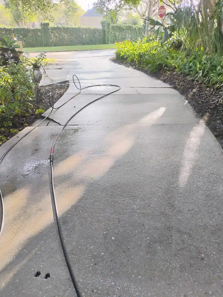 Wet sidewalk with hose and garden