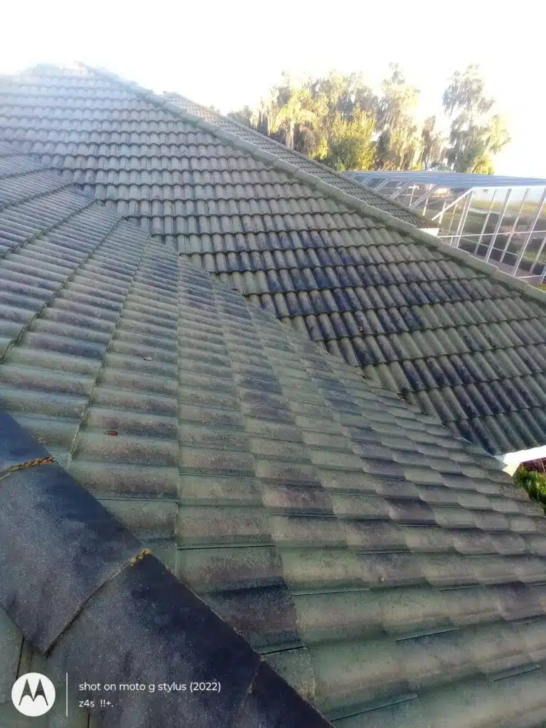 Tiled roof with partially cleaned section