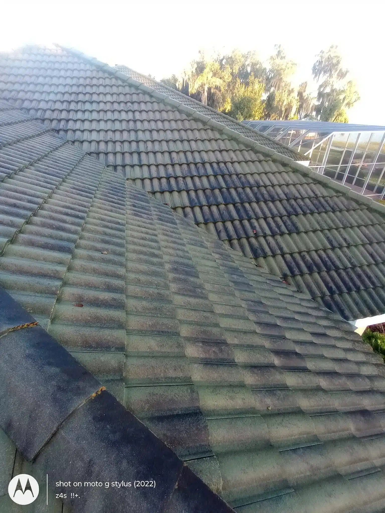 Tiled roof with partially cleaned section